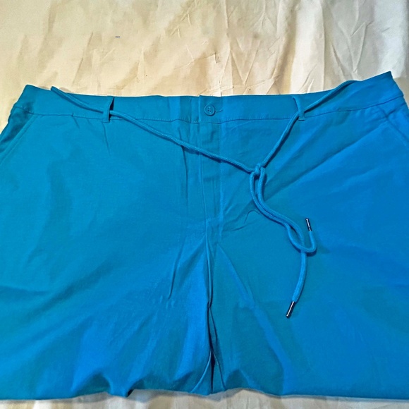 NEW PHOTOS! CAPRIS, STRETCH LINEN, CARIBE BLUE, SIZE 24, FRONT ZIPPER, POCKETS, - Picture 11 of 16